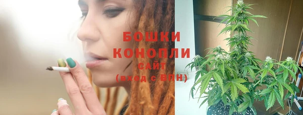 индика Протвино
